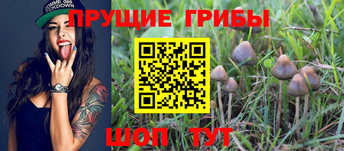 Галлюциногенные грибы GOLDEN TEACHER Кудымкар