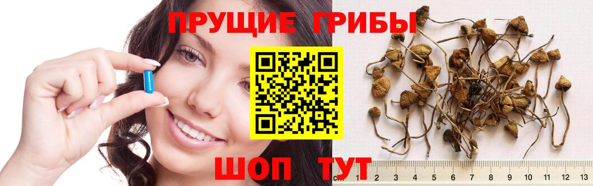Кудымкар  Галлюциногенные грибы Magic Shrooms  Вход с VPN 